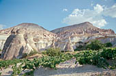 Cappadocia, Pasabag valley 